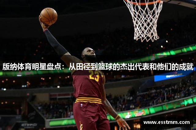 版纳体育明星盘点：从田径到篮球的杰出代表和他们的成就